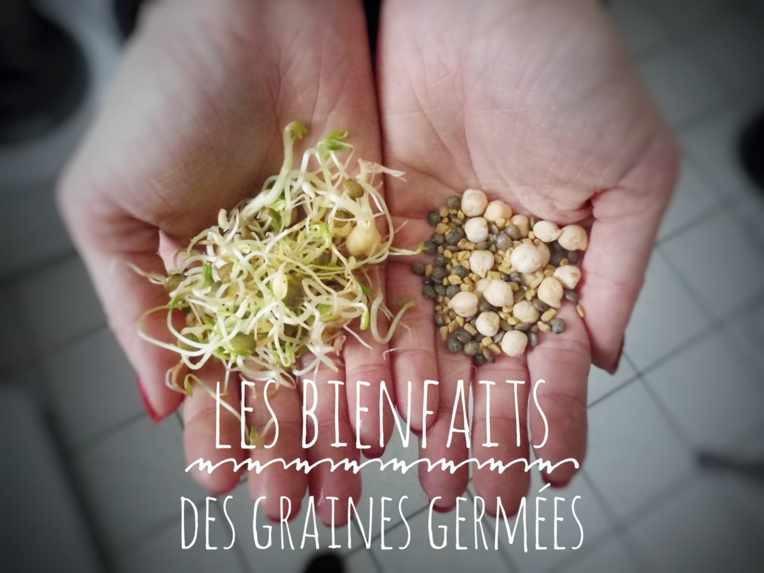 Faire Pousser Des Cepes Chez Soi Les bienfaits insoupçonnés des graines germées et comment les faire